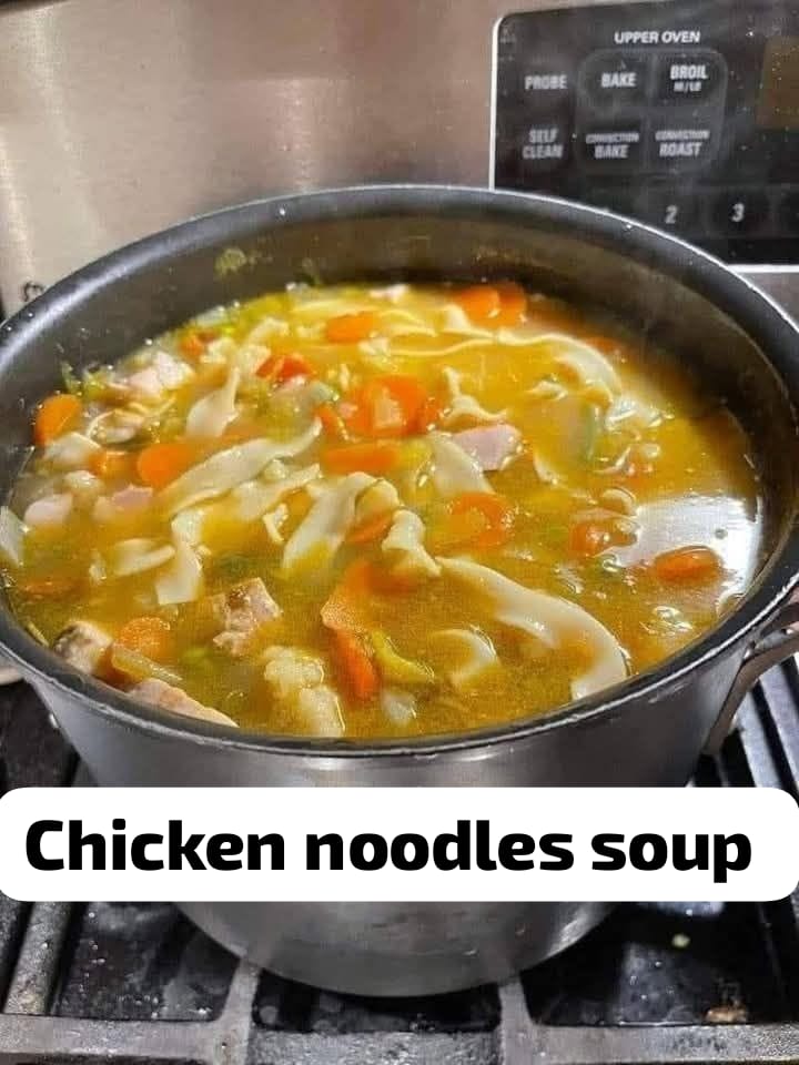 Chicken noodle soup 1
