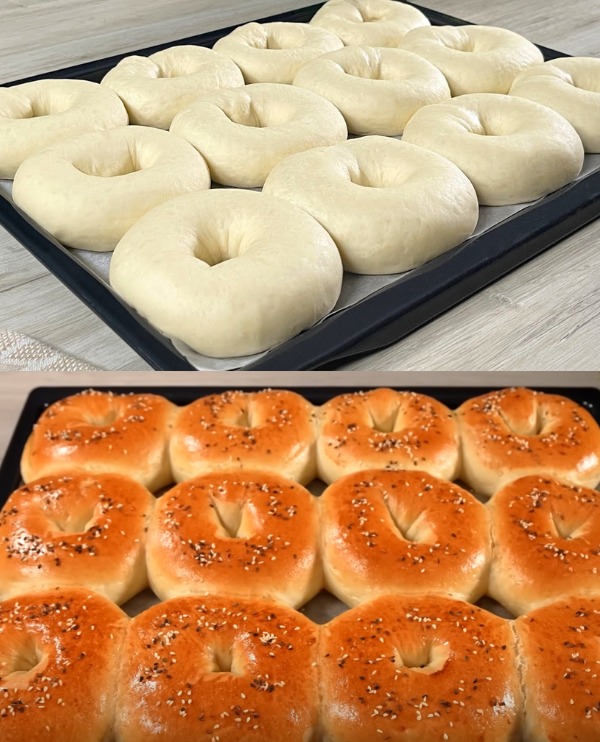 Homemade Bread Rolls Recipe