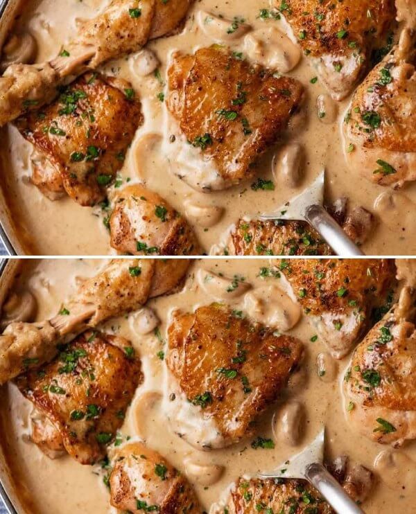 Chicken Fricassee - Quick French Chicken Stew Recipe