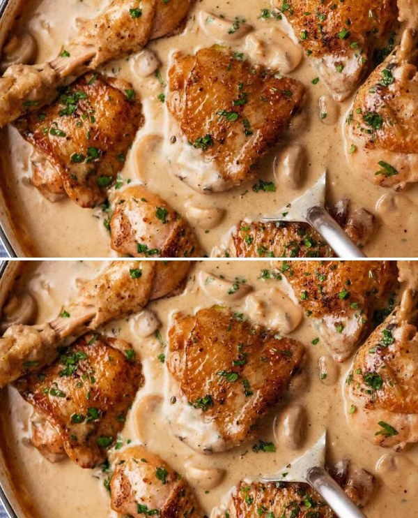Quick French Chicken Stew