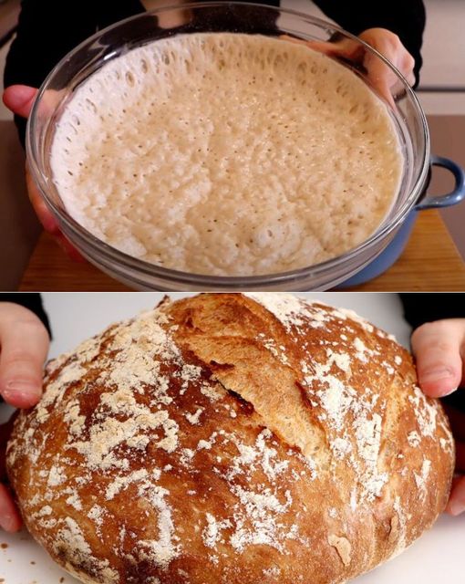 3 Ingredient Italian No Knead Bread