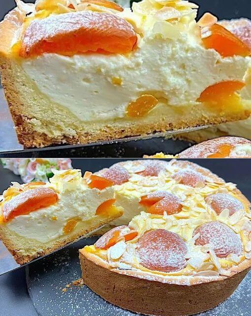 Century-Old Apricot and Cottage Cheese Tart