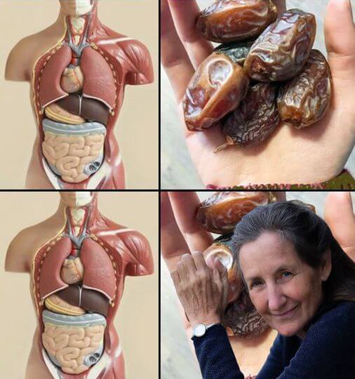What will Happen if You Start eating 2 dates every Day for a Week 
