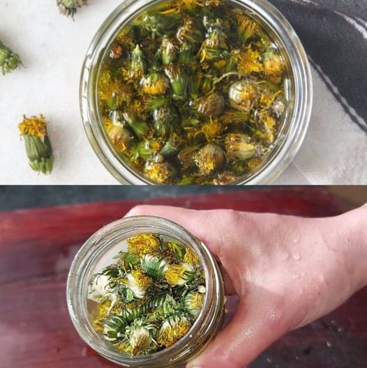 Joint and Muscle Pain Relief oil 1