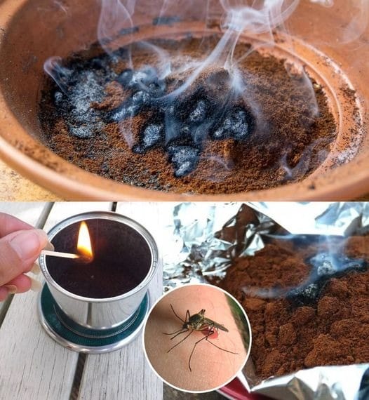 Effectively and organically destroy Mosquitoes Use Coffee 1