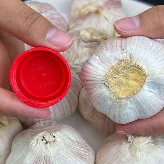 Secret Tricks with Garlic 1