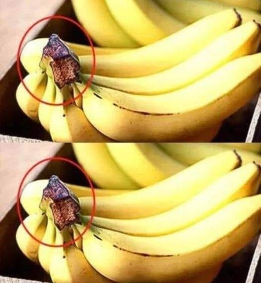 Never throw away this part of the banana 1