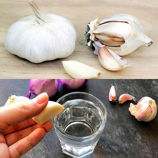 Wonders of Garlic Water 1