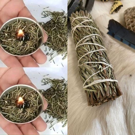 Learn About the Amazing Advantages of Burning Rosemary 1