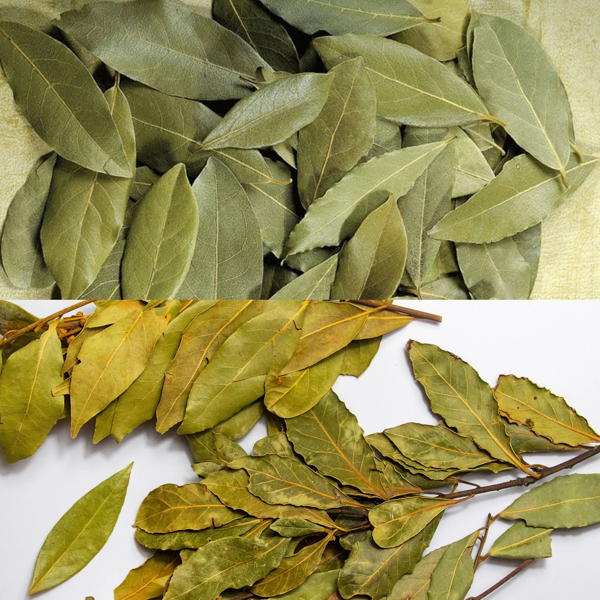The Top 17 Advantages of Bay Leaf for Health, Skin, and Hair 1
