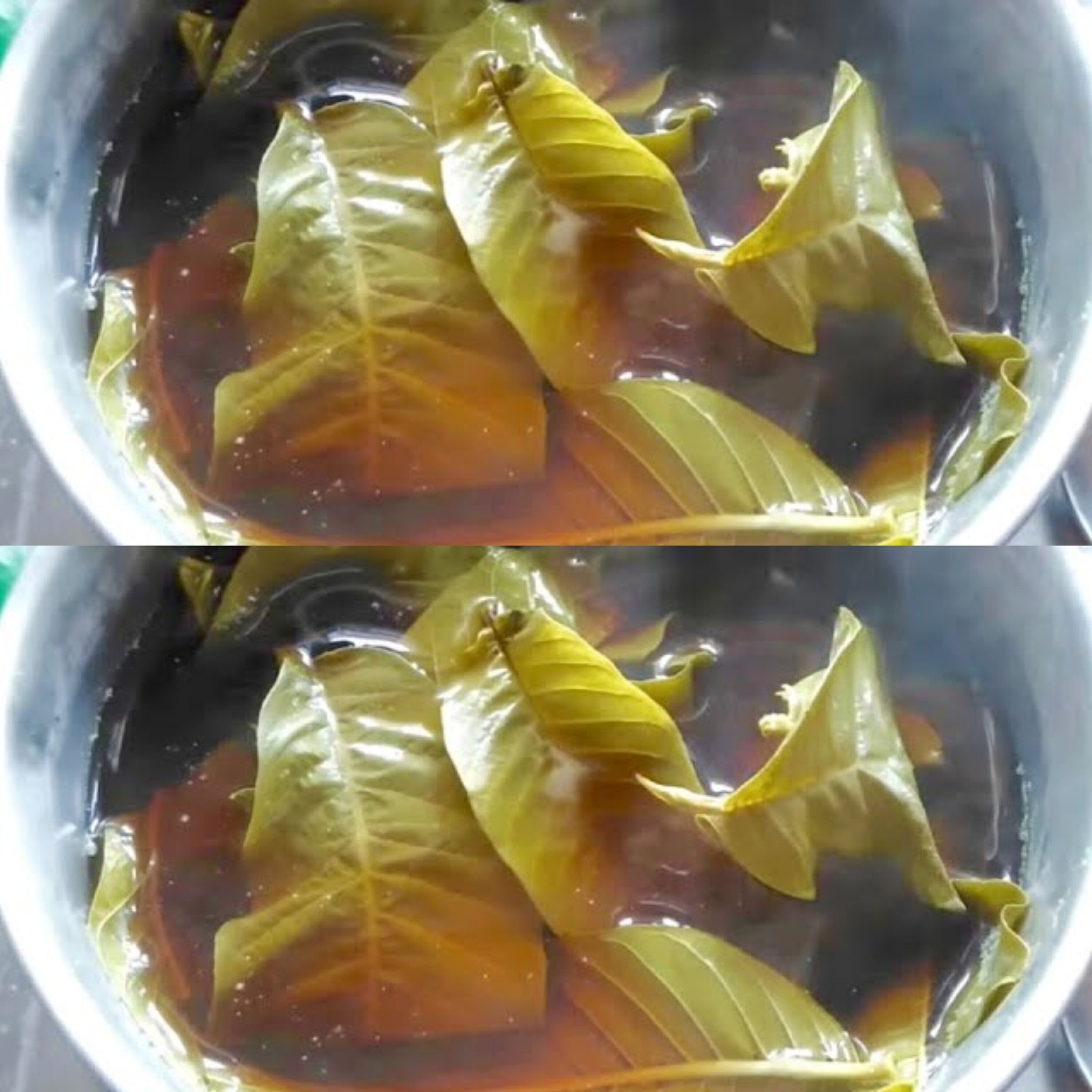 Incredible Benefits of Boil Guava Leaves 1