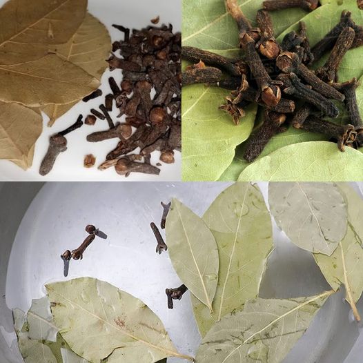 Benefits of BAY LEAF 9