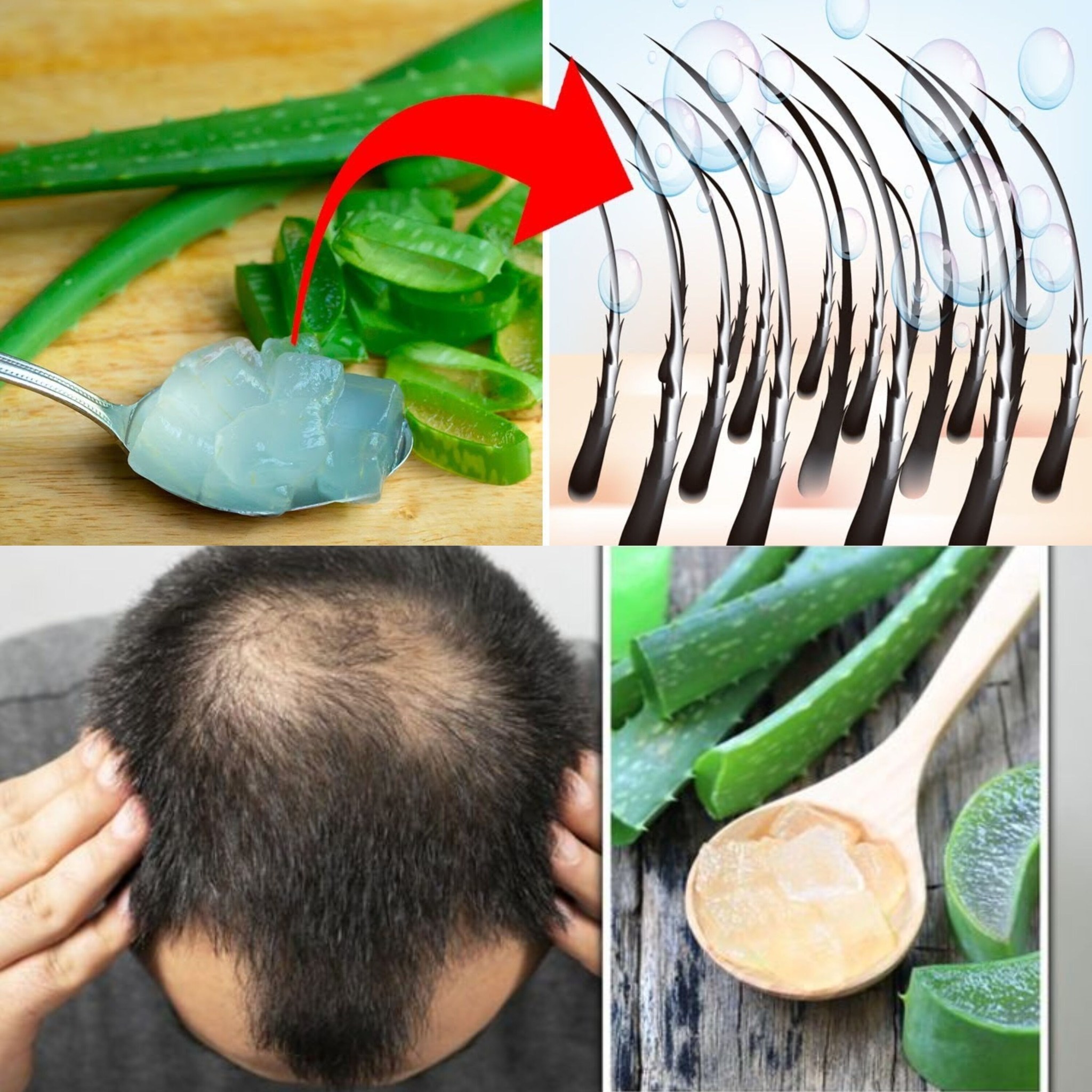 This is Why You Need to Use Aloe Vera on Your Hair 1