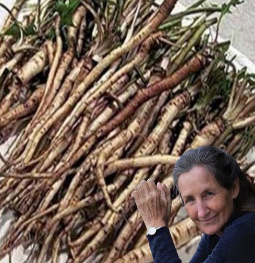 In just 48 hours, the plant that destroys cancer cells 1