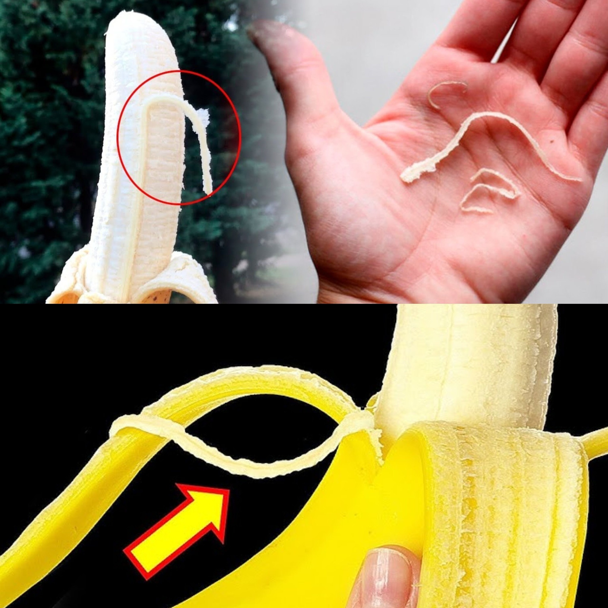 Why Do Bananas Have Those Tiny Strings 1