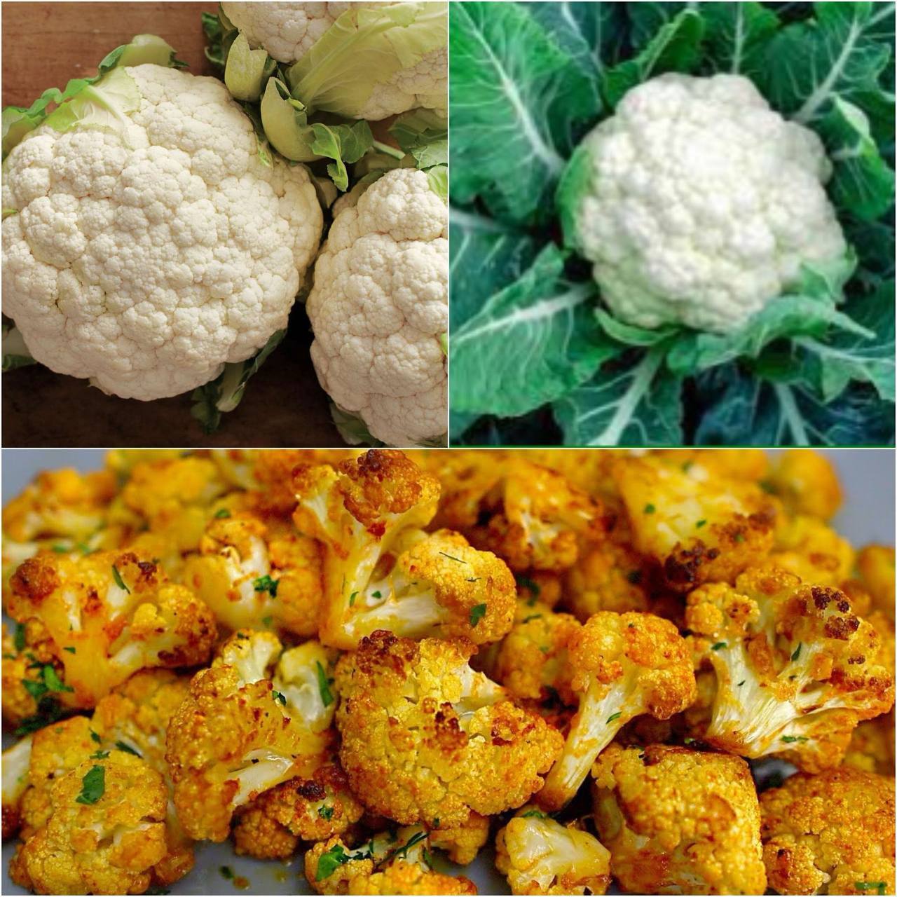 Oven-Baked Cauliflower A Delight 1