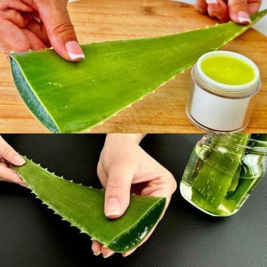 Why Aloe Vera is Your Secret Weapon Against Wrinkles 1