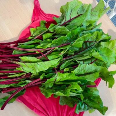 The Hidden Nutritious Powerhouse of Beet Greens 1
