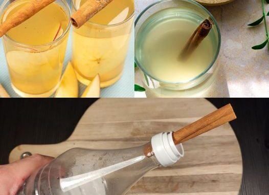 Drink with Apple Cider Vinegar and Cinnamon 1