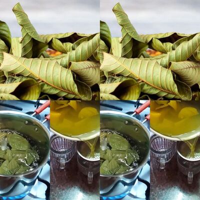 1. Encouraging the Health of Hair 1