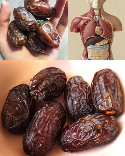 Dates: A Superfood for Nutrition 1