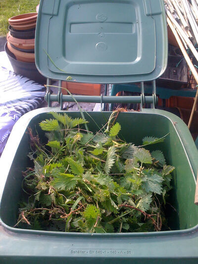 Organic Gardening Secrets Nettle Fertilizer and Nettle Insecticide 1