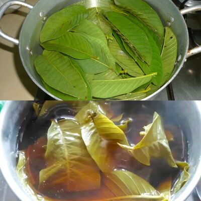 Guavas' Incredible Health Benefits 1