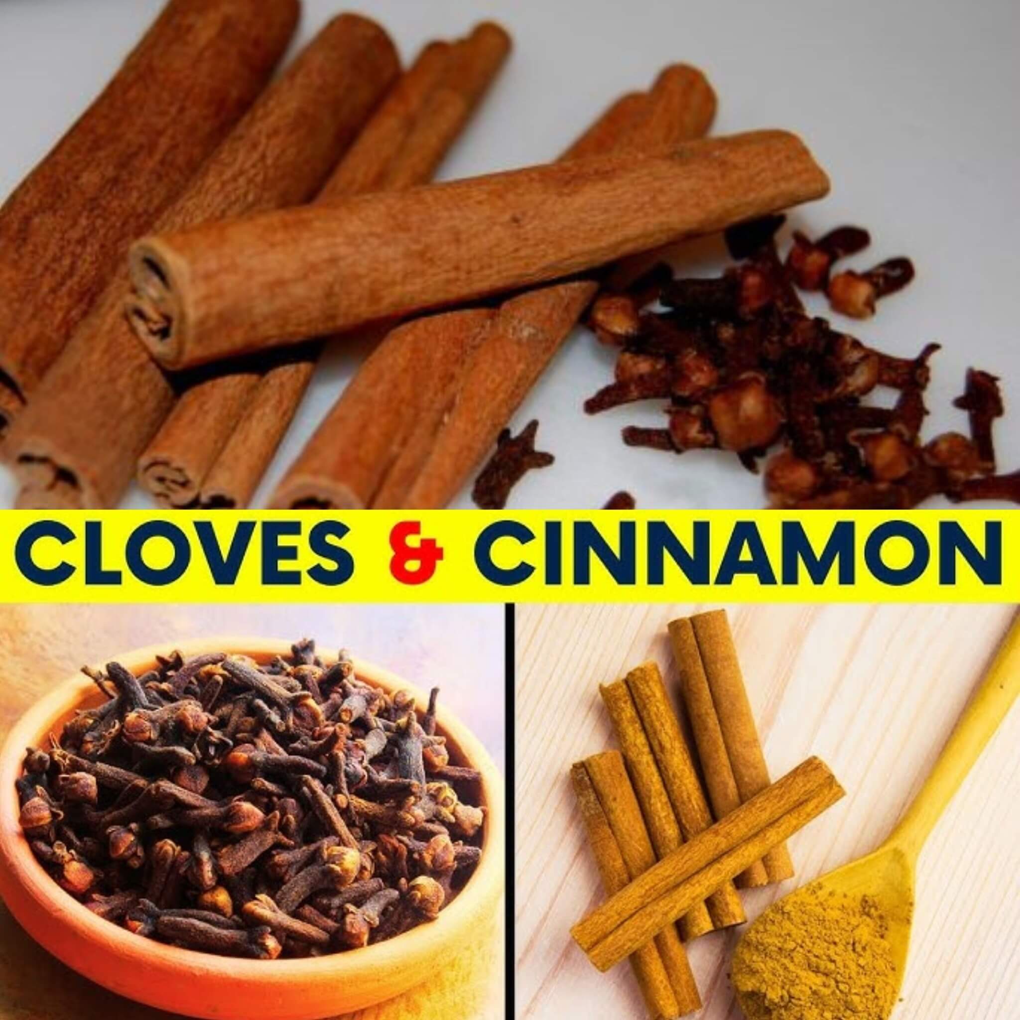 Mixing Cloves with Cinnamon Can Trigger Irreversible Body Reaction 1