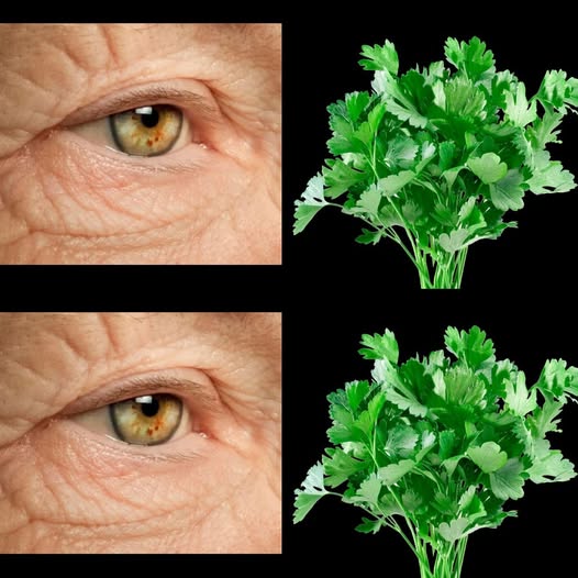 Effective Drink for Vision Using Parsley 1