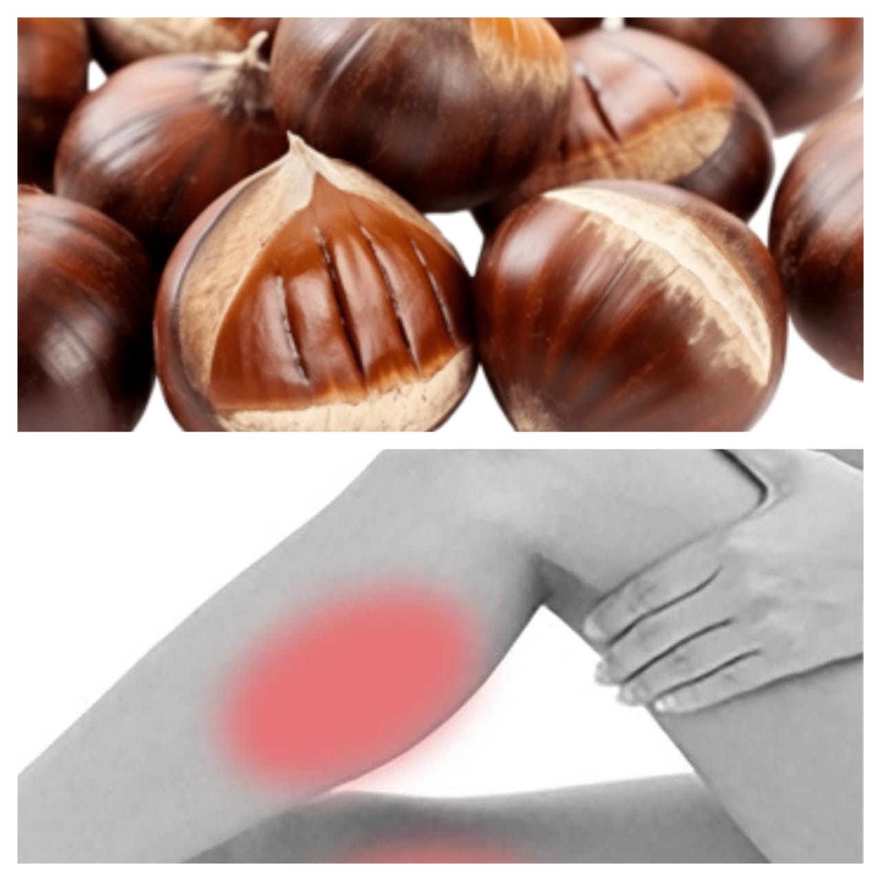 Power of Chestnuts as a Natural Remedy for Muscle Spasms 1