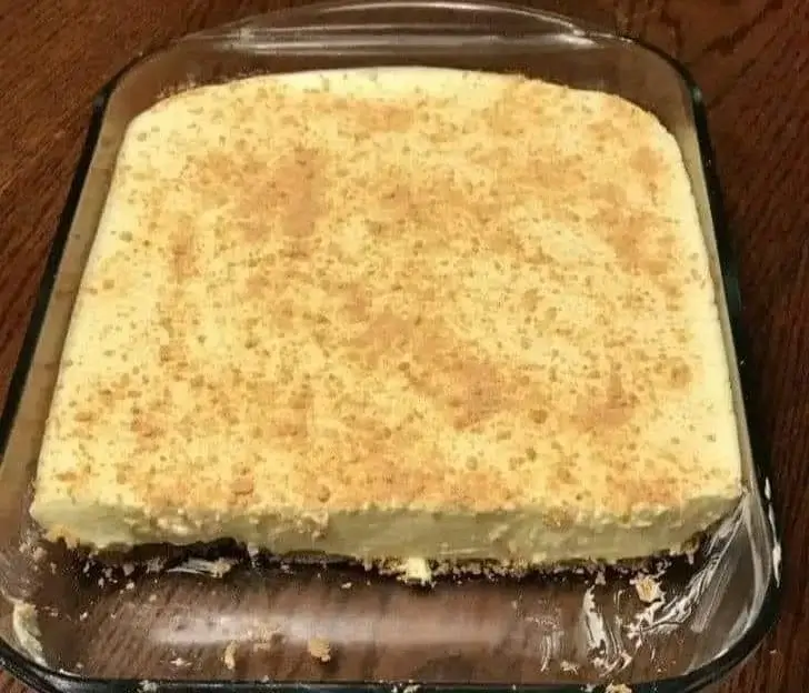 carnivore cheesecake 1