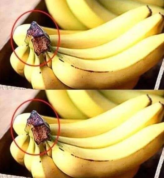 Never throw away this part of the banana 1