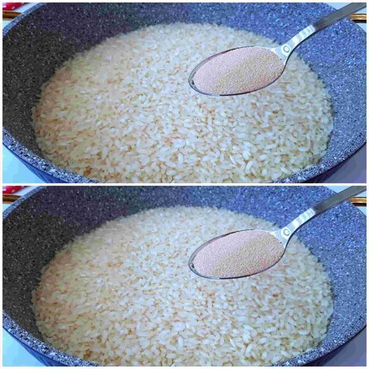 Mix Rice And Yeast Discover The Secret 1