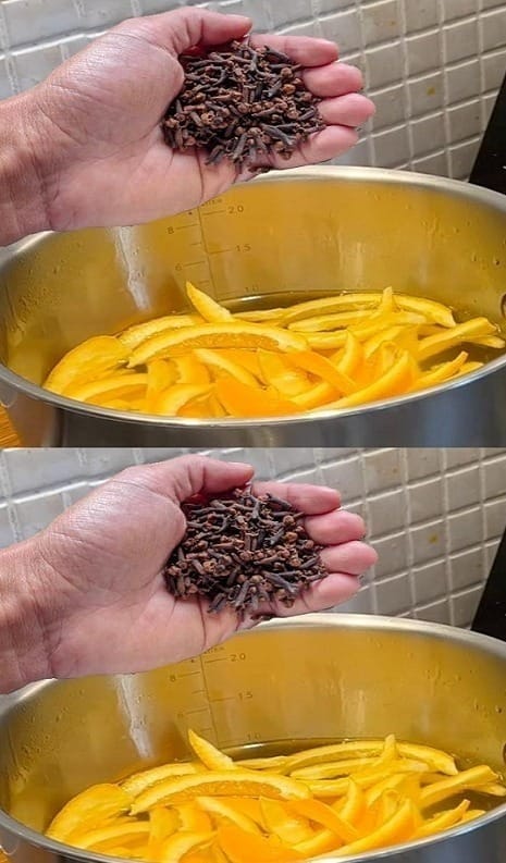 Old Wisdom An Orange Peel and Clove 1