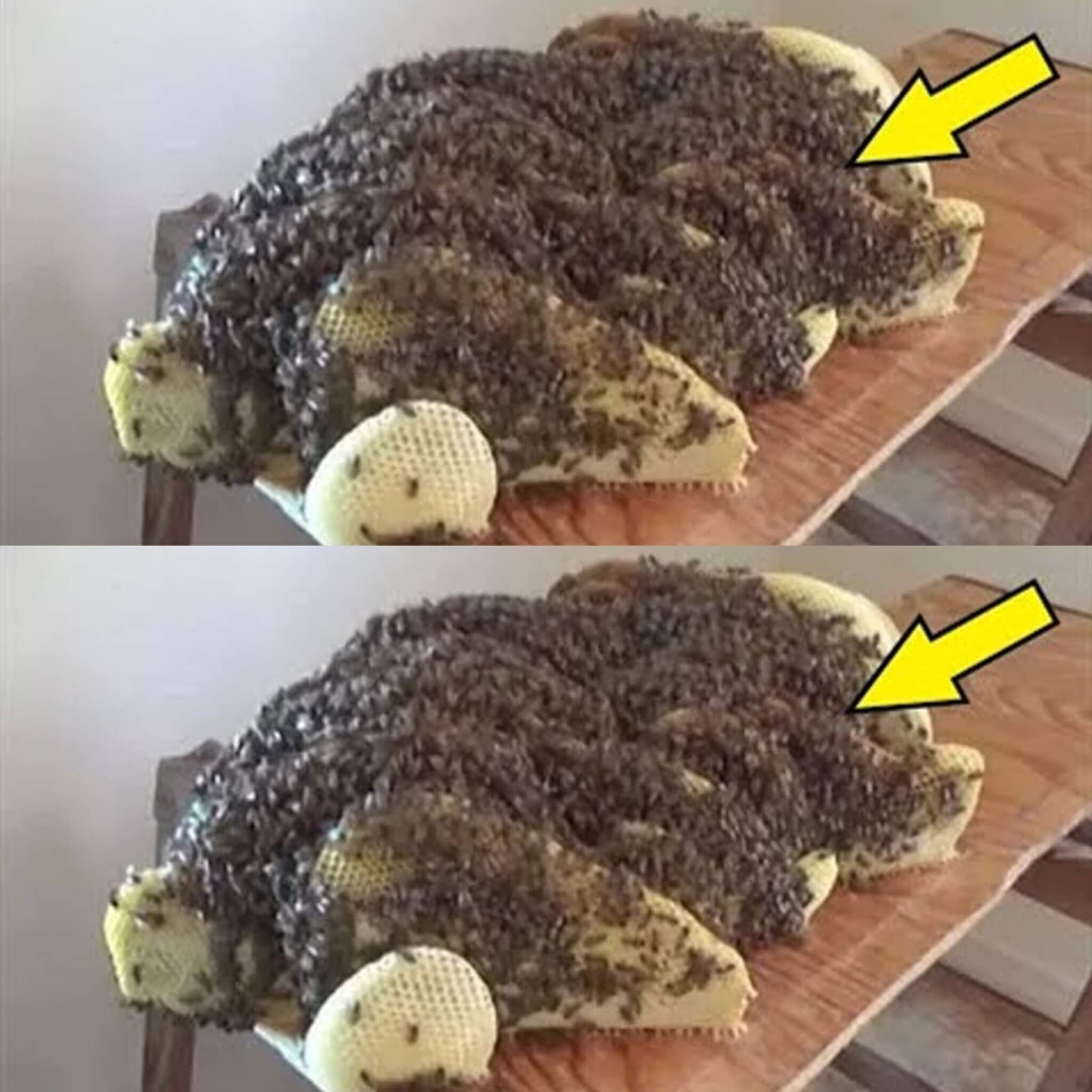 Surprise Under the Bed: The Uninvited Guests 1