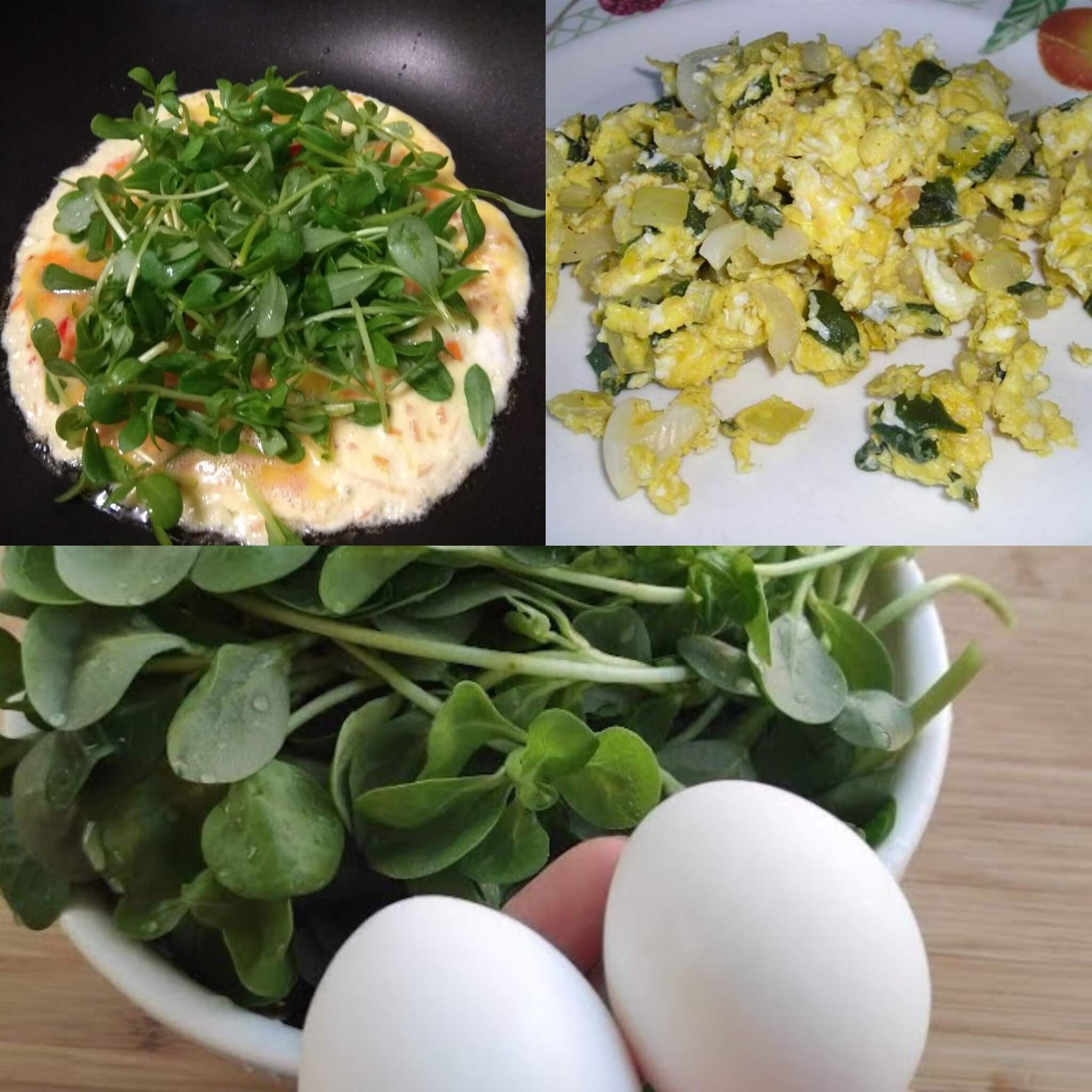 Purslane and Eggs An Iconic Recipe You Must Taste 5