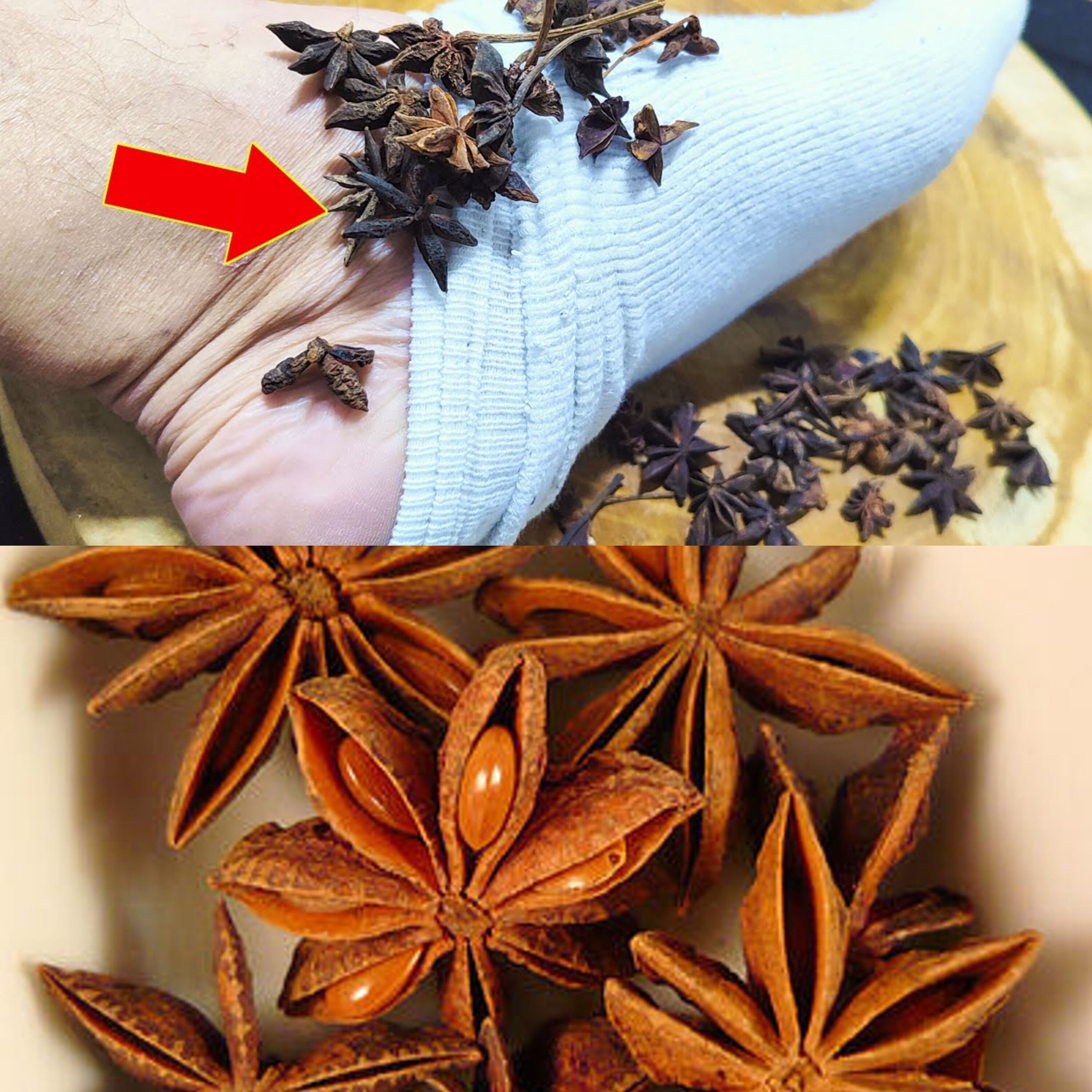 Put Star Anise on hold and cut back on your expenditures. 1
