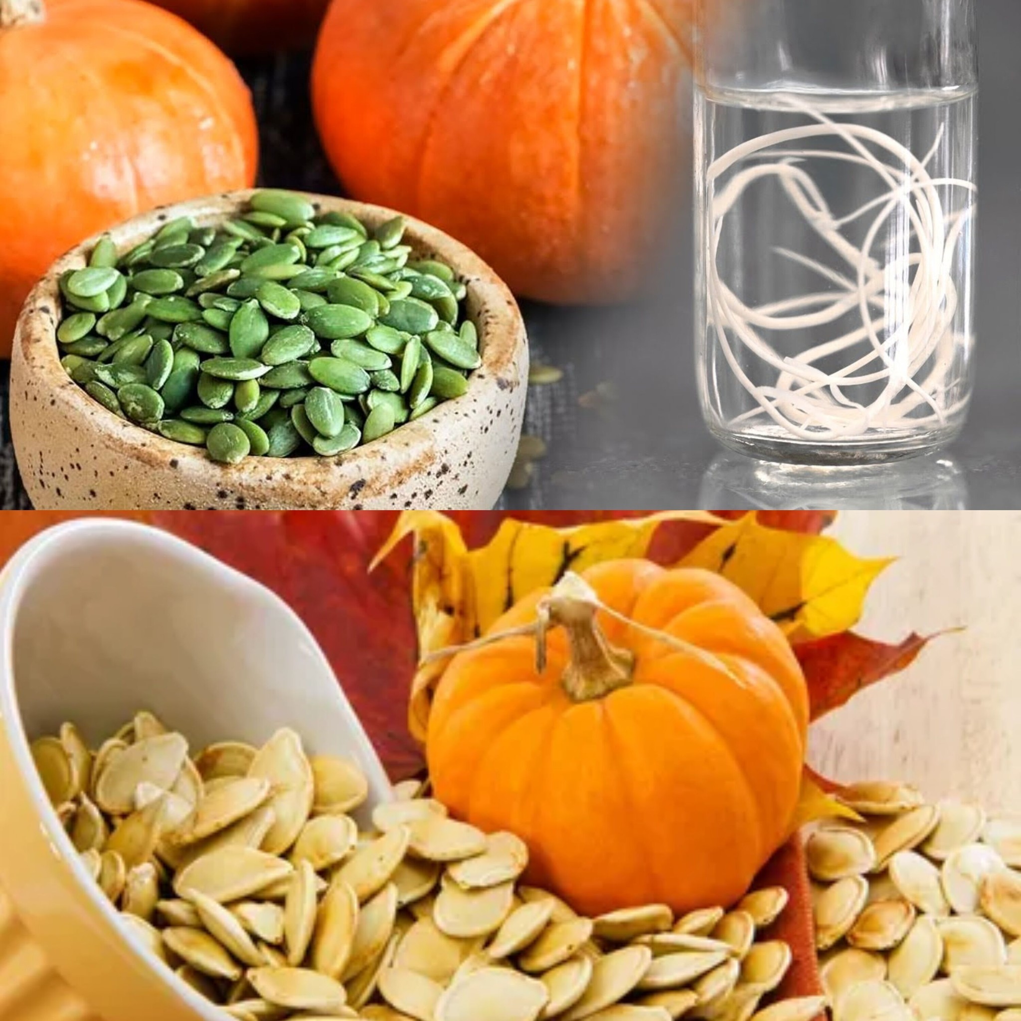 Using Pumpkin Seeds as an Organic Deworming Agent 1