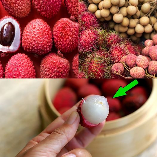 Lychee The  Fruit With Amazing Health Benefits 1