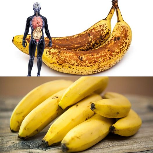 Check Out What Happens If You Eat Two Bananas a Day! Advantages for Health 1