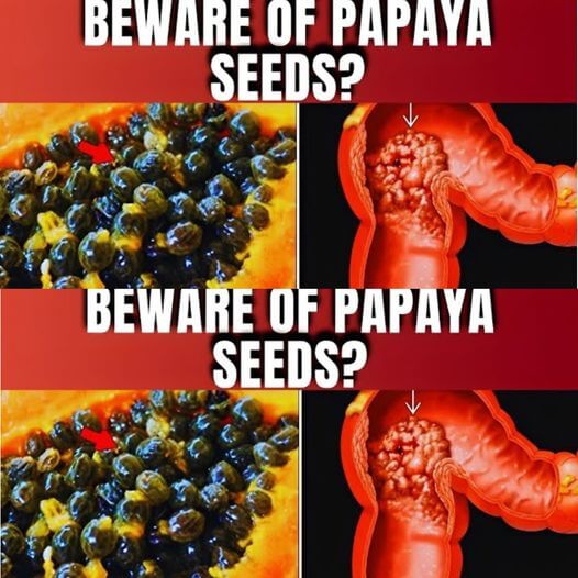 This Happens to Your Body If You Eat Papaya Seeds 7