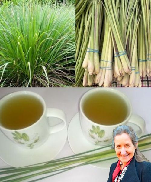 Recipe for Cooling Lemongrass Tea 1