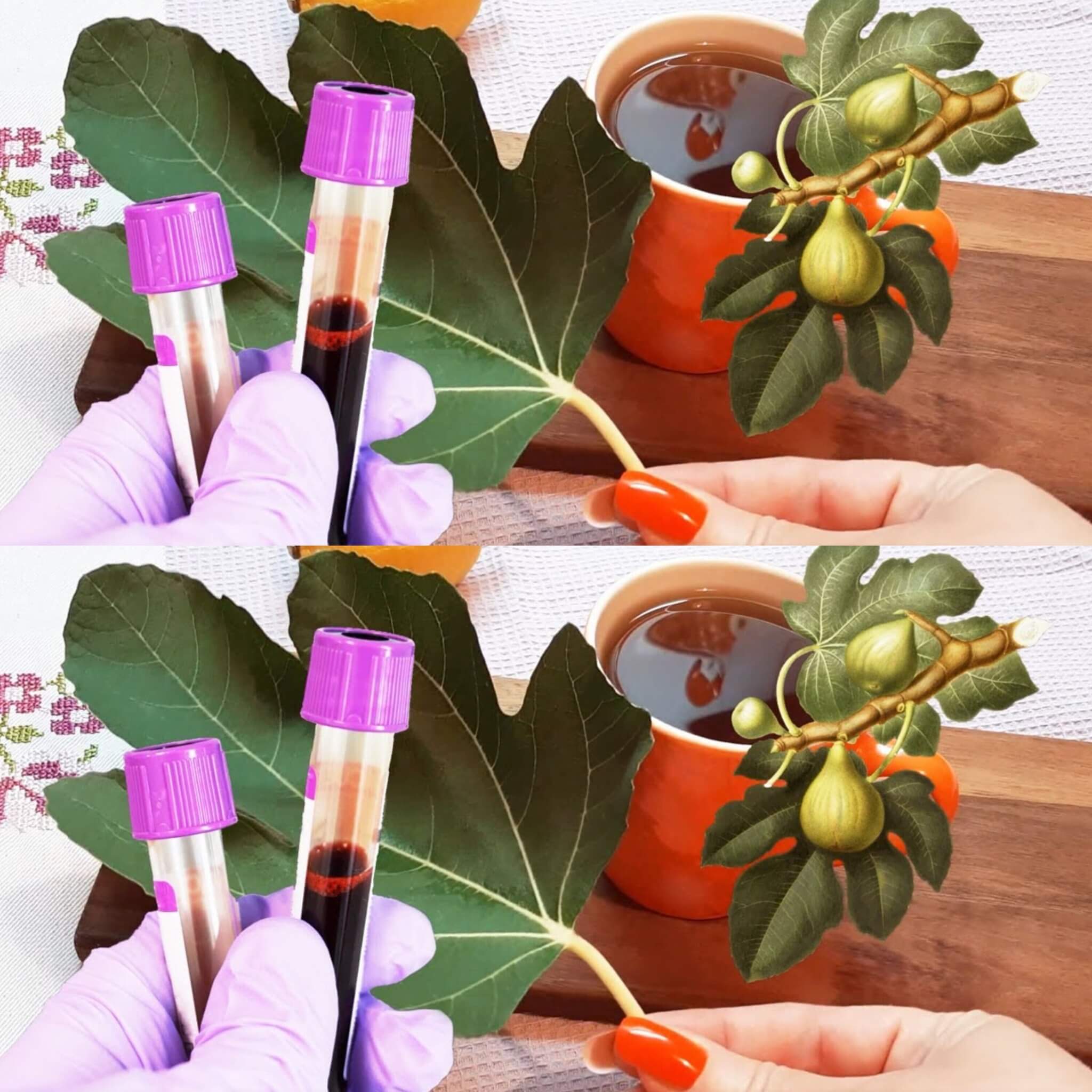 The Unexpected Health Advantages of Consuming Two Fig Leaves Every Day 1