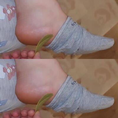 Bay Leaves Can Help You Wake Up Pain-Free and Refreshed 1