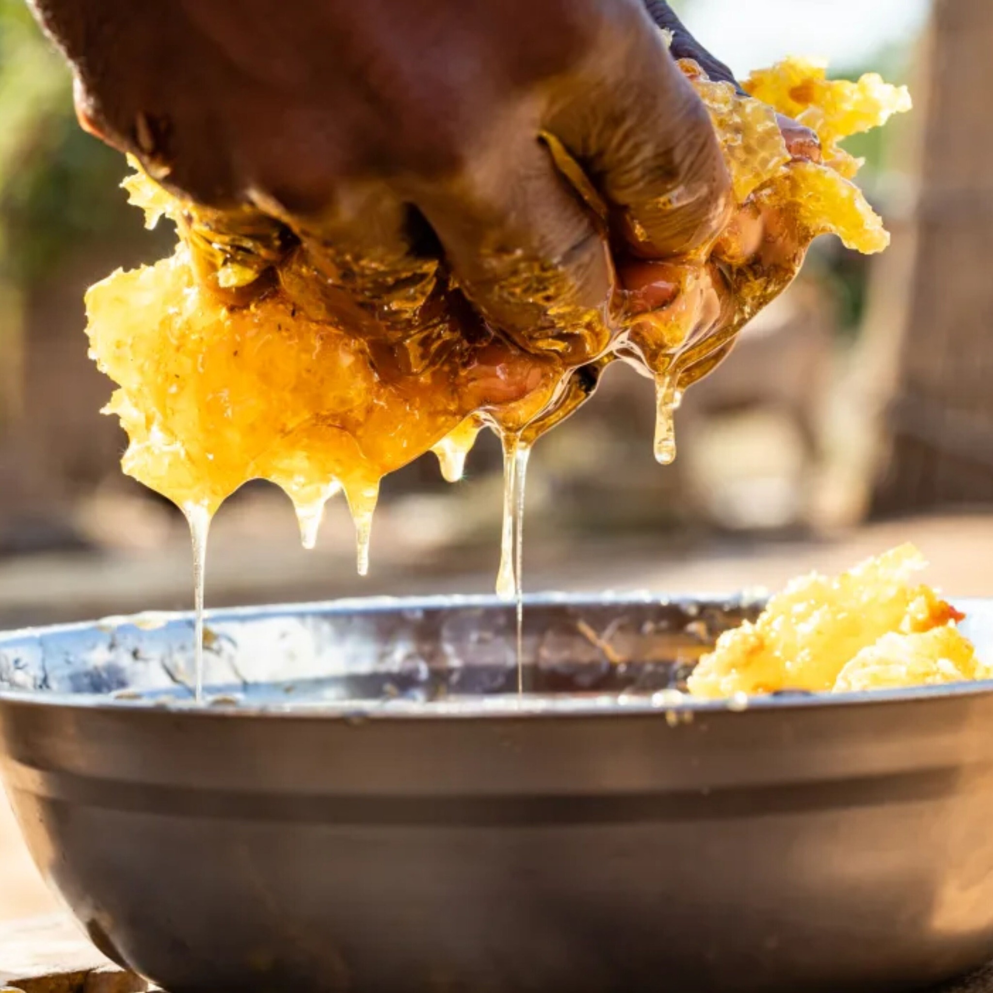 Ten Amazing Ways Honey Will Help You Get Much Better Health 1