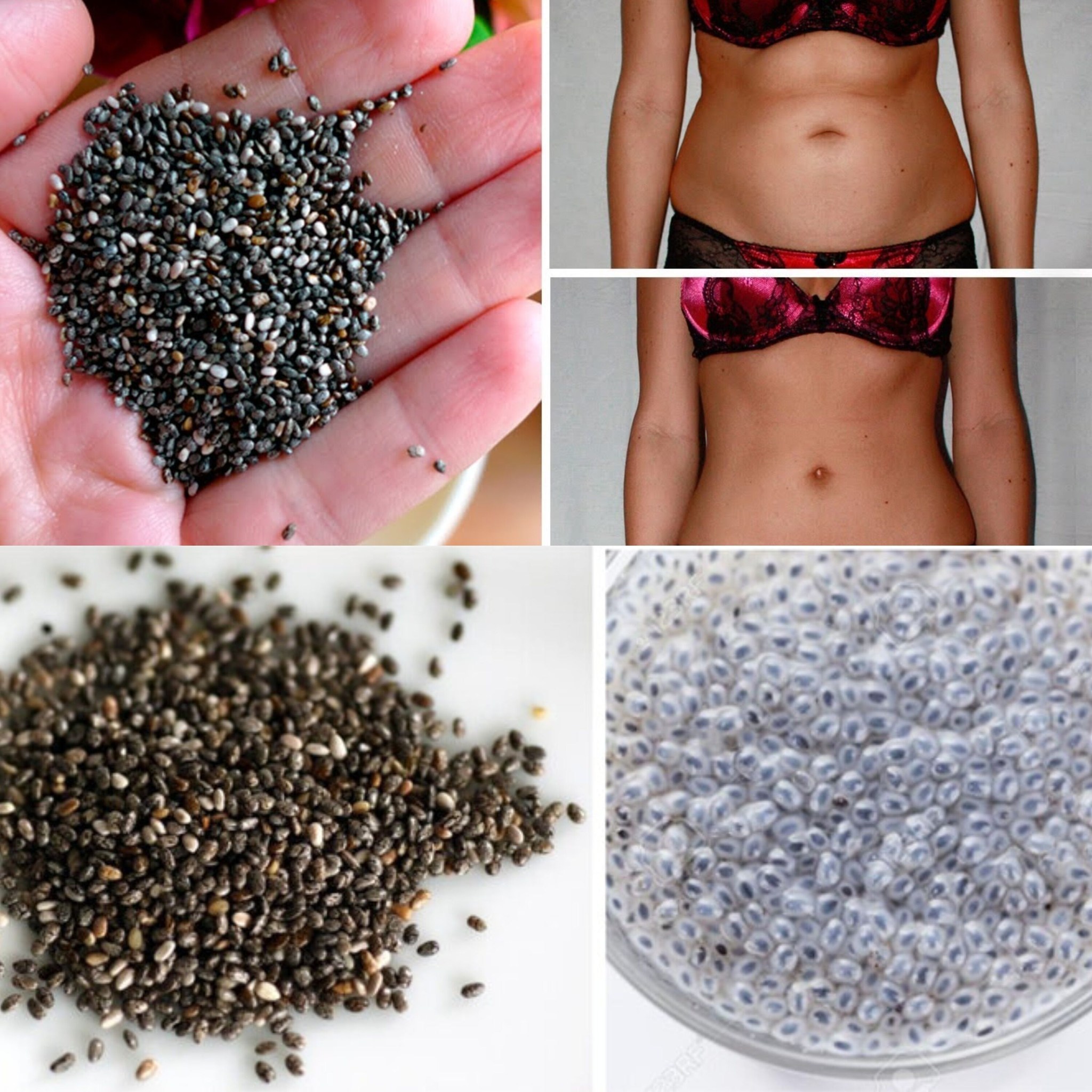The Five Greatest Health Advantages of Chia Seeds 1
