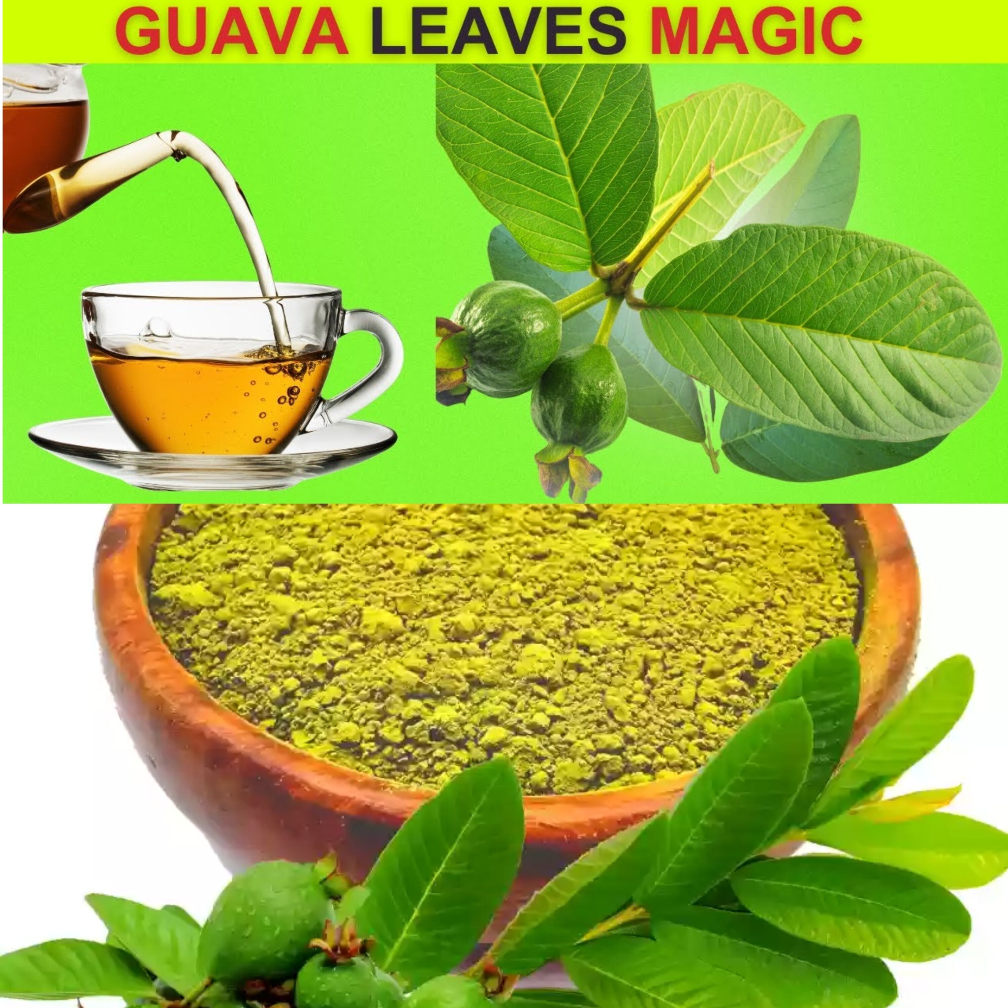 Amazing Advantages of Guava Leaves: 11 Justifications for Guava Leaf Tea 1