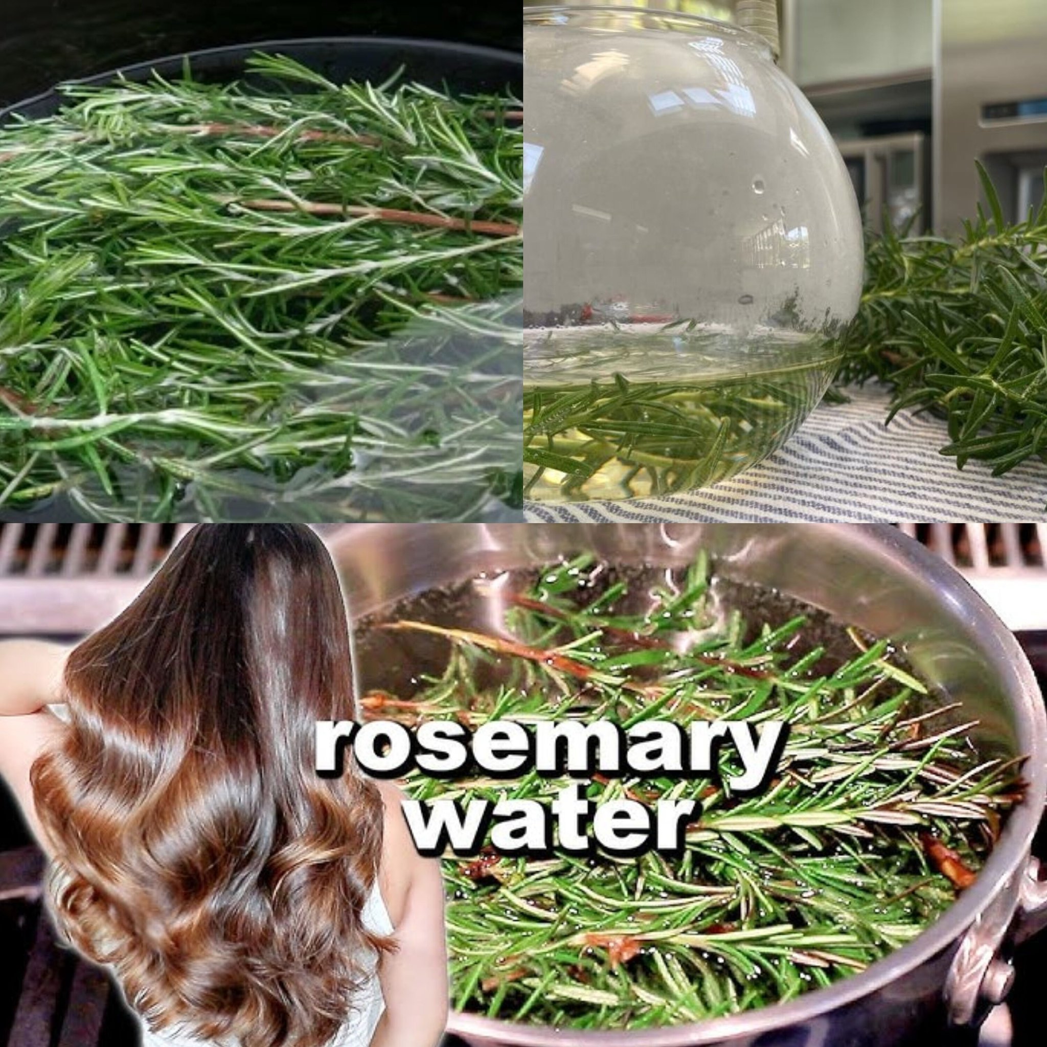A DIY Spray Recipe and Instructions for Using Rosemary Water 1