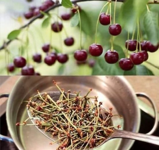 Cherry Stalks: Why Pick Them? 1