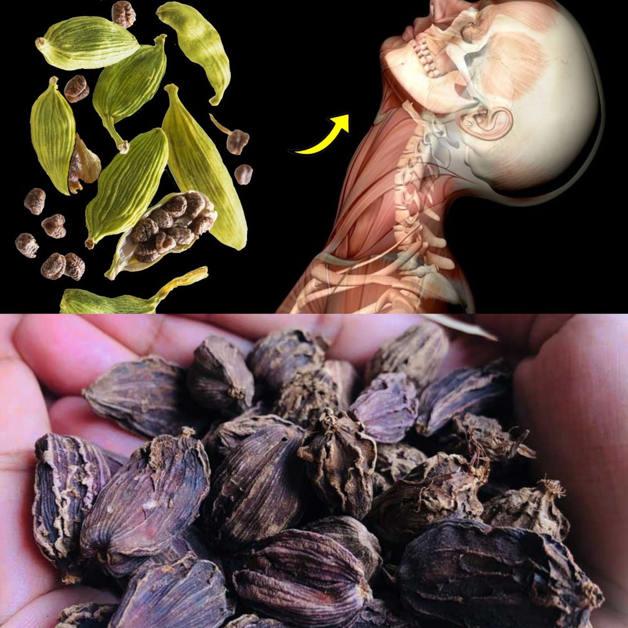 What happens to your body when you add cardamom to your food every day. 1